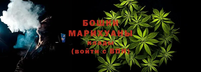 где найти   Советский  Канабис OG Kush 